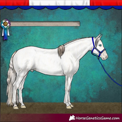 Horse Color:Buckskin Roan Pearl  and Amber Cream Champagne Roan Pearl 