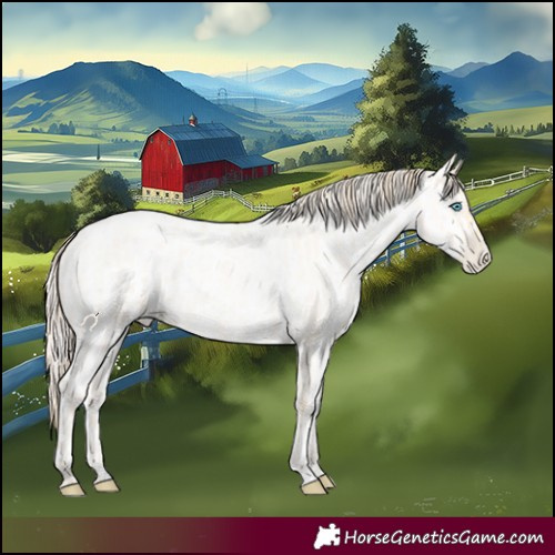 Horse Color:Buckskin Roan Pearl  and Amber Cream Champagne Roan Pearl 
