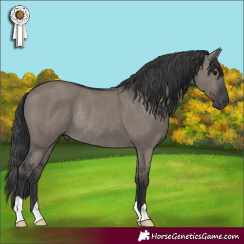 Horse Color:Grullo Rabicano 