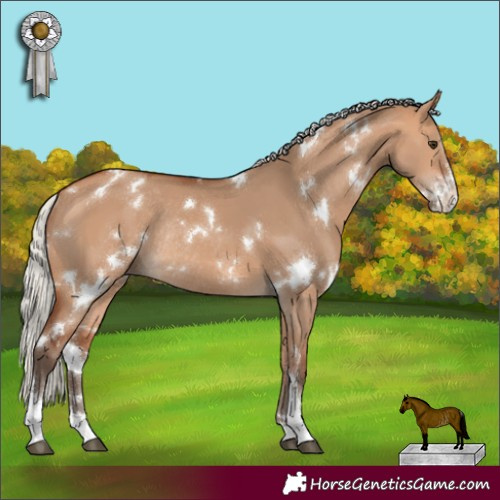 Horse Color:White Spotted Silver Bay Dun Sabino Rabicano 