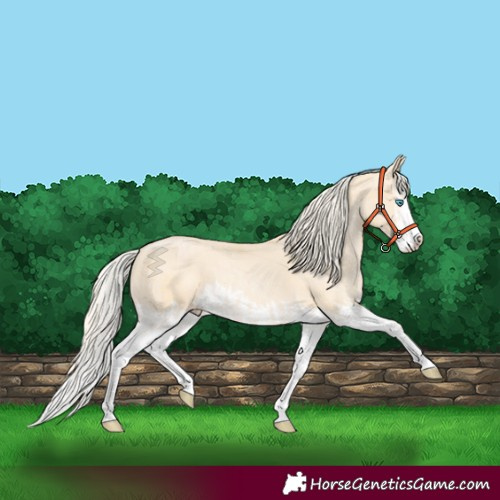 Horse Color:Cremello Splash and Palomino Pearl Splash