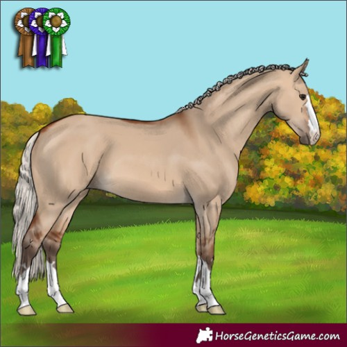 Horse Color:Silver Brown Dun 