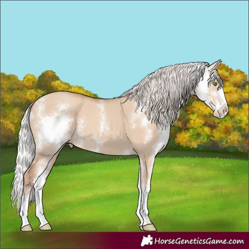 Horse Color:Silver Classic Champagne Dun Sabino 