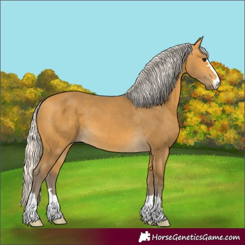 Horse Color:Unknown 