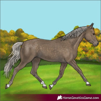 Horse Color:Silver Smoky Black 