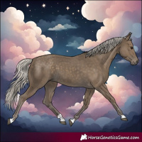 Horse Color:Silver Smoky Black 