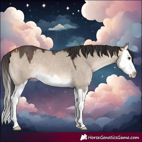 Horse Color:Bay Dun Splash 