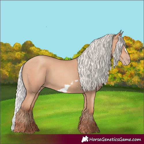 Horse Color:Silver Amber Champagne Frame