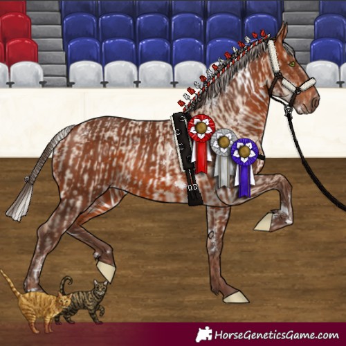 Horse Color:White Spotted Classic Champagne Dun  and White Spotted Silver Brown Rabicano 