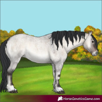 Horse Color:Brown Roan Onyx 