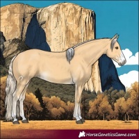 Horse Color:Palomino 