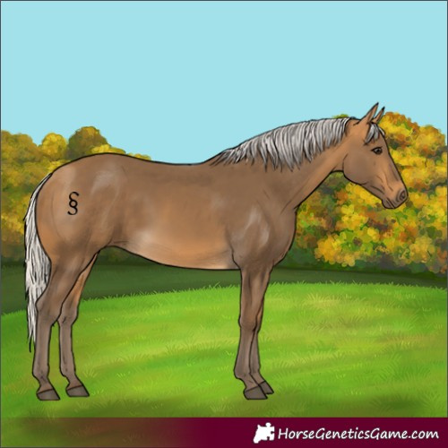 Horse Color:Silver Buckskin 