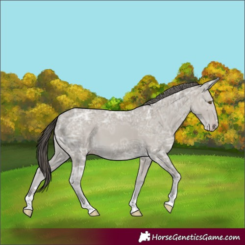 Horse Color:Classic Cream Champagne Ice 