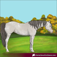 Horse Color:Classic Cream Champagne Ice 