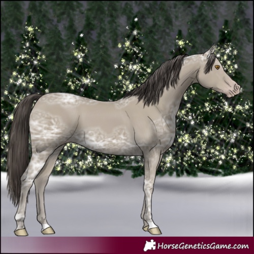 Horse Color:Classic Cream Champagne Ice 