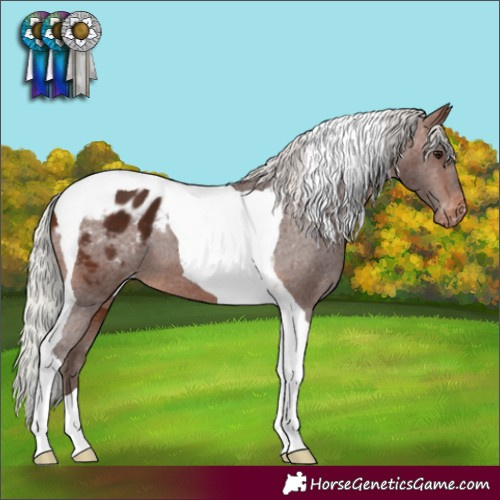 Horse Color:Silver Brown Tobiano Blanket 