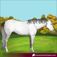 Horse Color:Gray Classic Cream Champagne Ice 