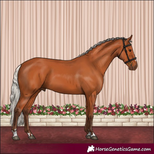 Horse Color:Silver Bay