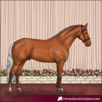 Horse Color:Silver Bay 