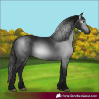 Horse Color:Gray Black 