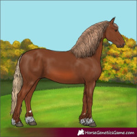 Horse Color:Chestnut 