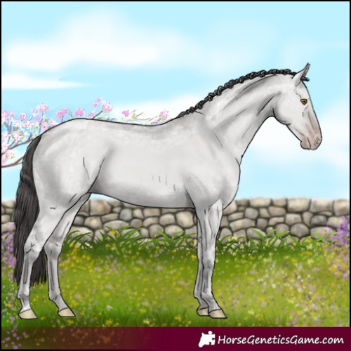 Horse Color:Classic Cream Champagne Ice Dun 