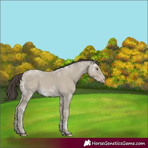 Horse Color:Classic Cream Champagne Ice