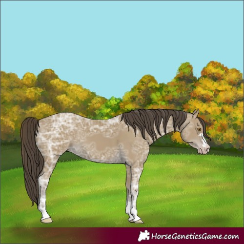 Horse Color:Classic Cream Champagne Ice 