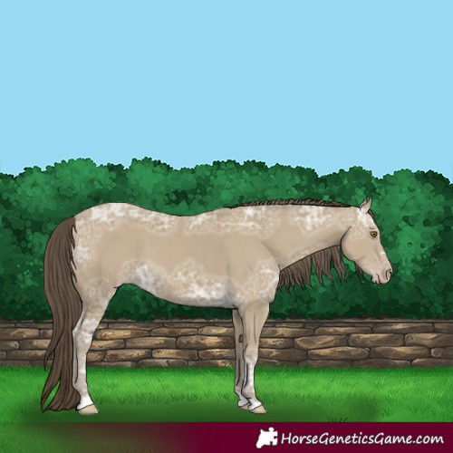 Horse Color:Classic Cream Champagne Ice 