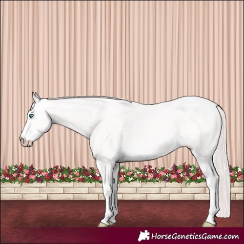 Horse Color:Smoky Creme Ice