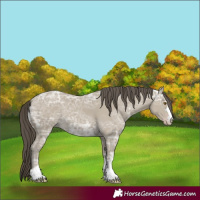 Horse Color:Classic Cream Champagne Ice 