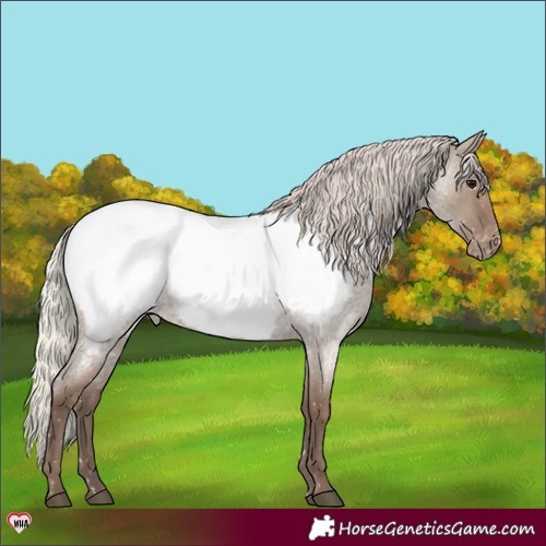Horse Color:Silver Grullo Roan Near Fewspot 