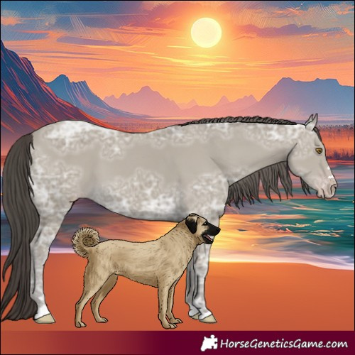 Horse Color:Classic Cream Champagne Ice 