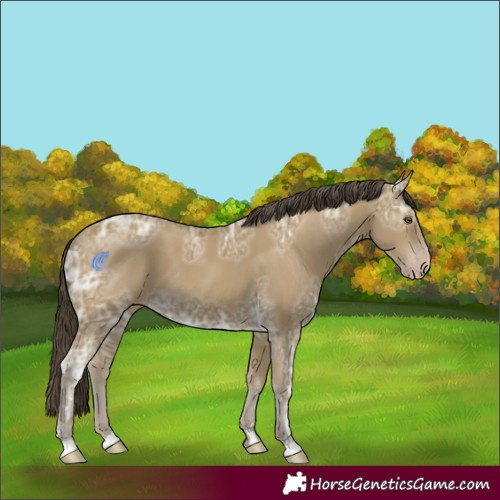 Horse Color:Classic Cream Champagne Ice 