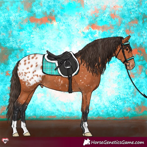 Horse Color:Bay Snowflake Varnish 