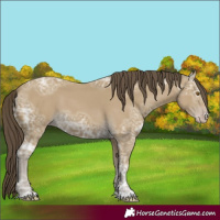 Horse Color:Classic Cream Champagne Ice