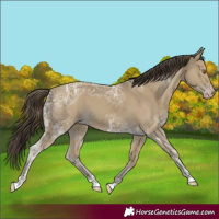 Horse Color:Classic Cream Champagne Ice 