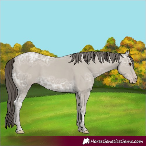 Horse Color:Classic Cream Champagne Ice 