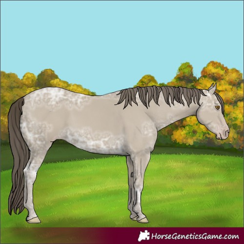 Horse Color:Classic Cream Champagne Ice 