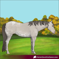 Horse Color:Classic Cream Champagne Ice