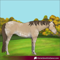 Horse Color:Classic Cream Champagne Ice 