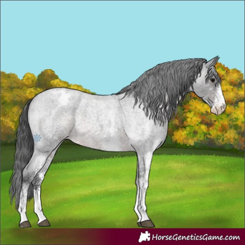 Horse Color:Platinum White Spotted Brown Roan Varnish 