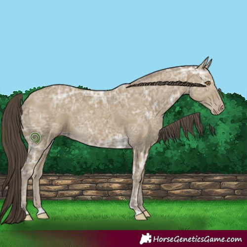 Horse Color:Classic Cream Champagne Ice 