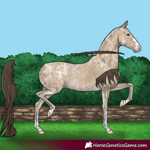 Horse Color:Classic Cream Champagne Ice 