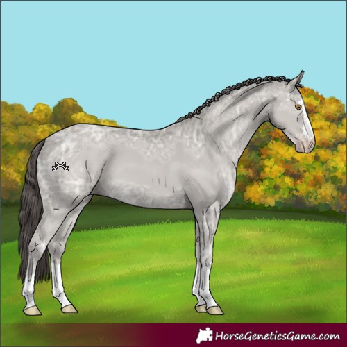 Horse Color:Classic Cream Champagne Ice 