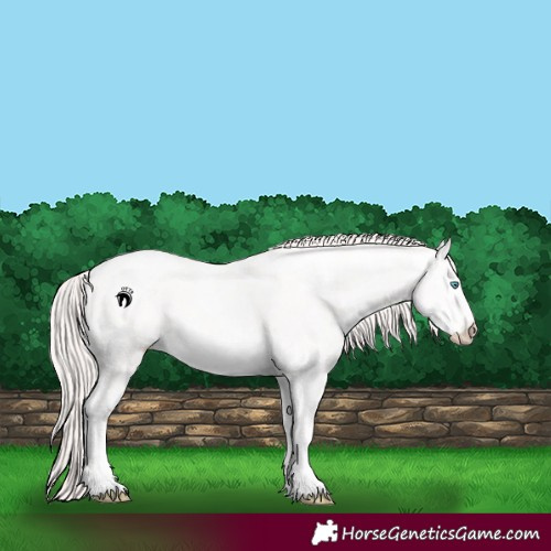 Horse Color:Smoky Creme Ice 