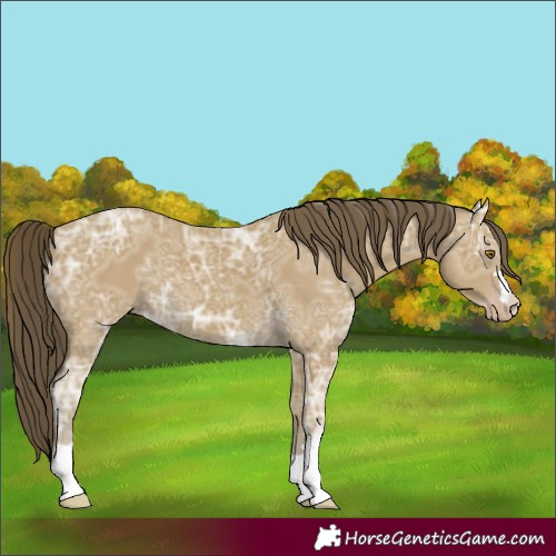 Horse Color:Classic Cream Champagne Ice