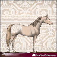 Horse Color:Smoky Creme Varnish Rabicano 