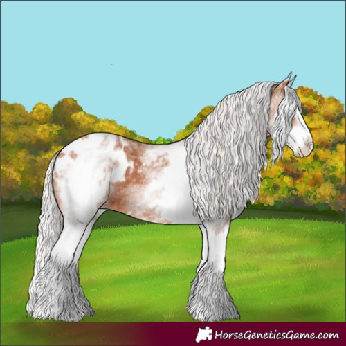 Horse Color:White Spotted Silver Bay Splash Appaloosa 