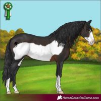Horse Color:Brown Frame 